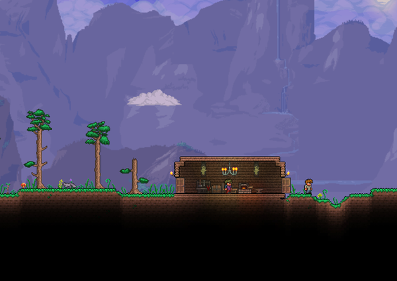 Simple starter home with the guide.